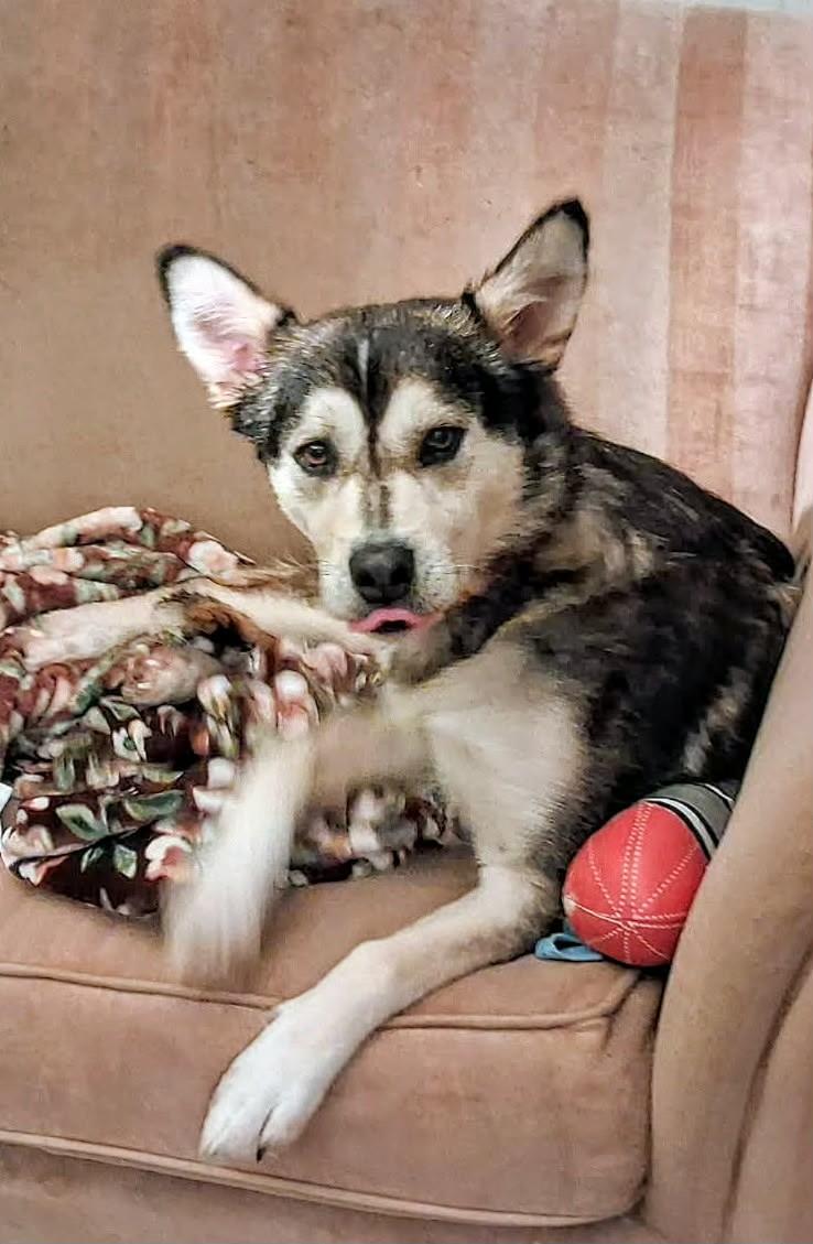 Lorelei (20260216-10) — thumbnail 5