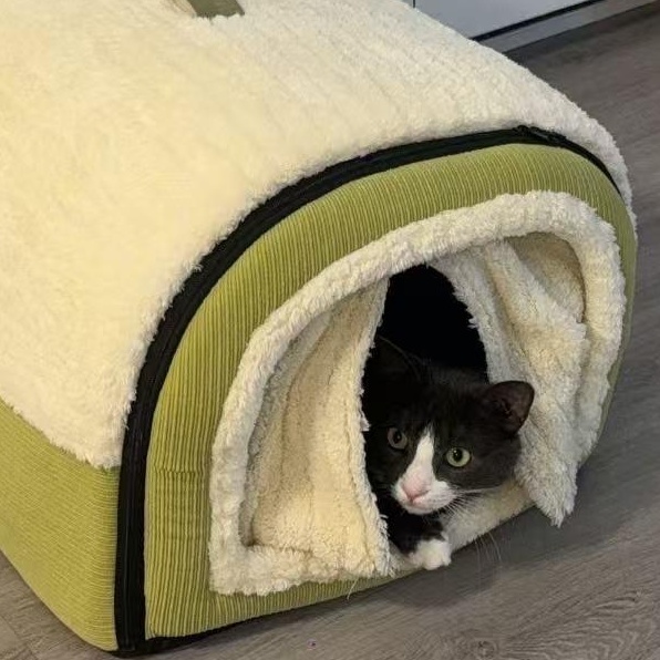 Enlarge Bao Bao, a ADOPTABLE mixed breed in Flushing, NY image 2/5
