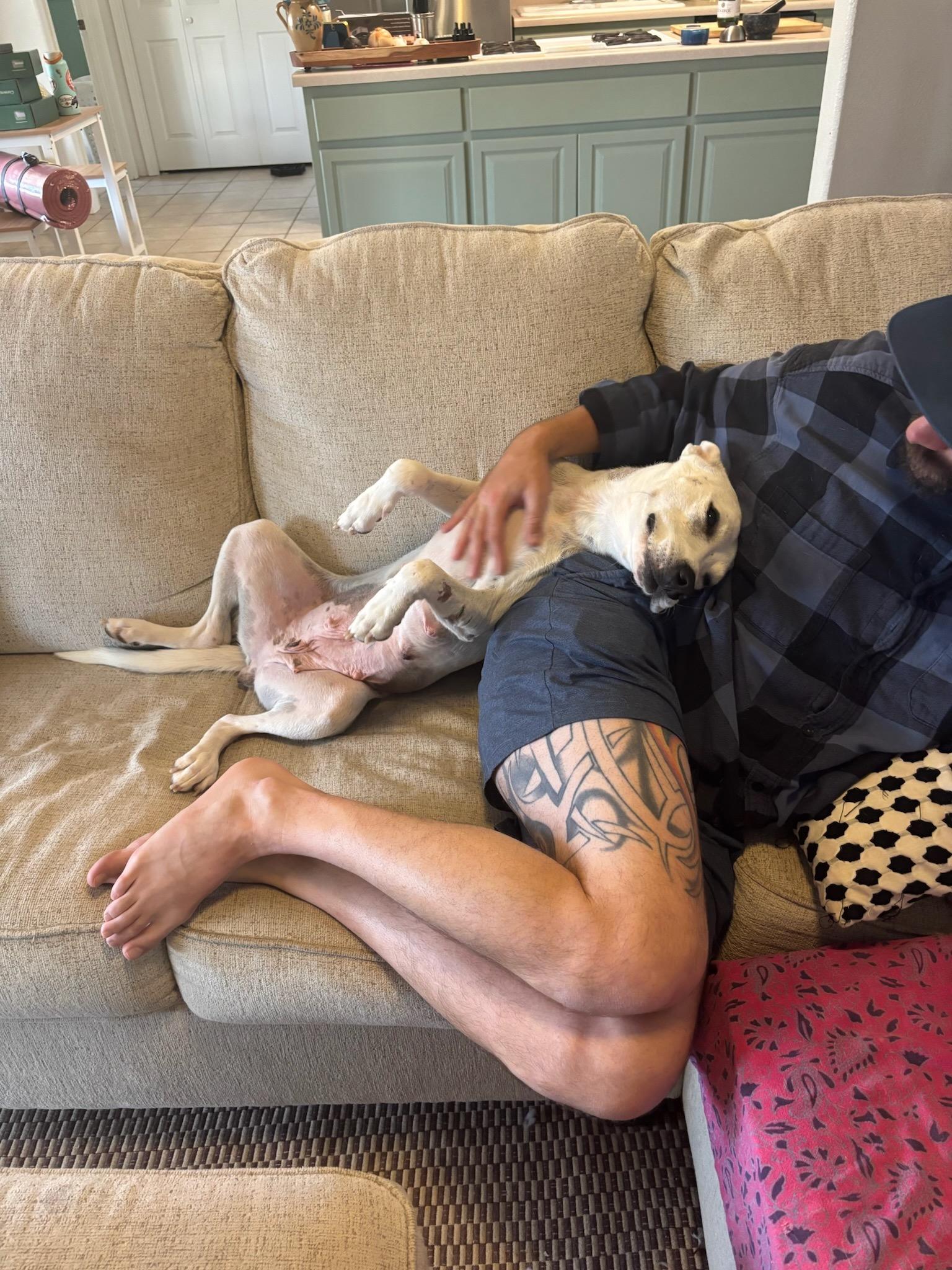 Enlarge Cali, a ADOPTABLE mixed breed in Durango, CO image 5/6