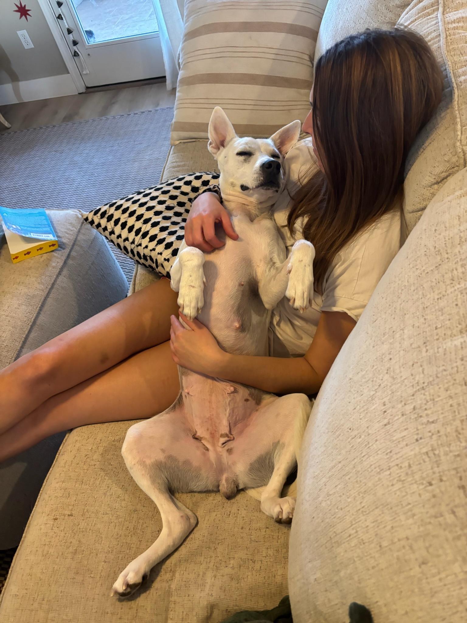 Enlarge Cali, a ADOPTABLE mixed breed in Durango, CO image 6/6