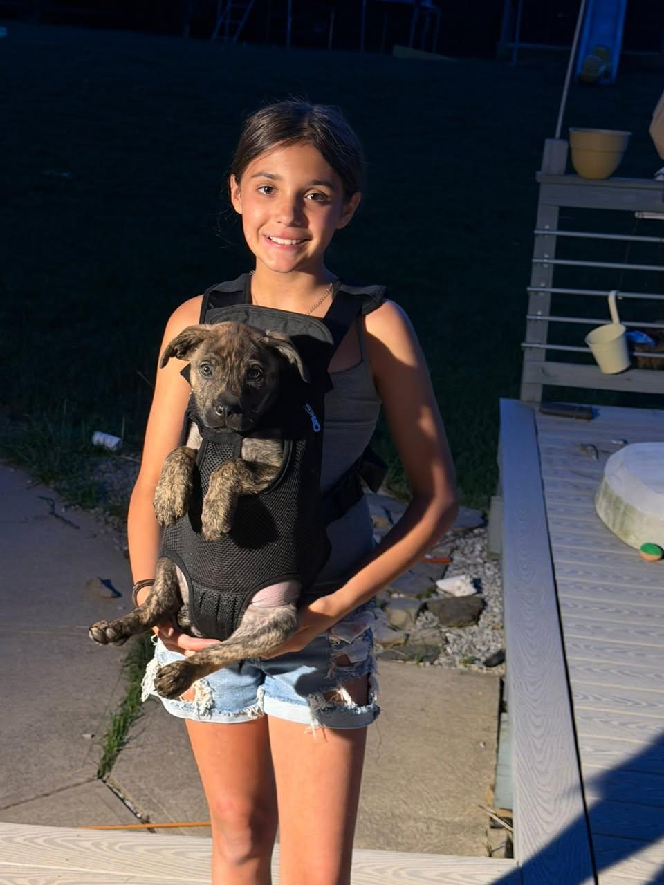 Tide, an adopted mixed breed in Seville, OH image 3/6