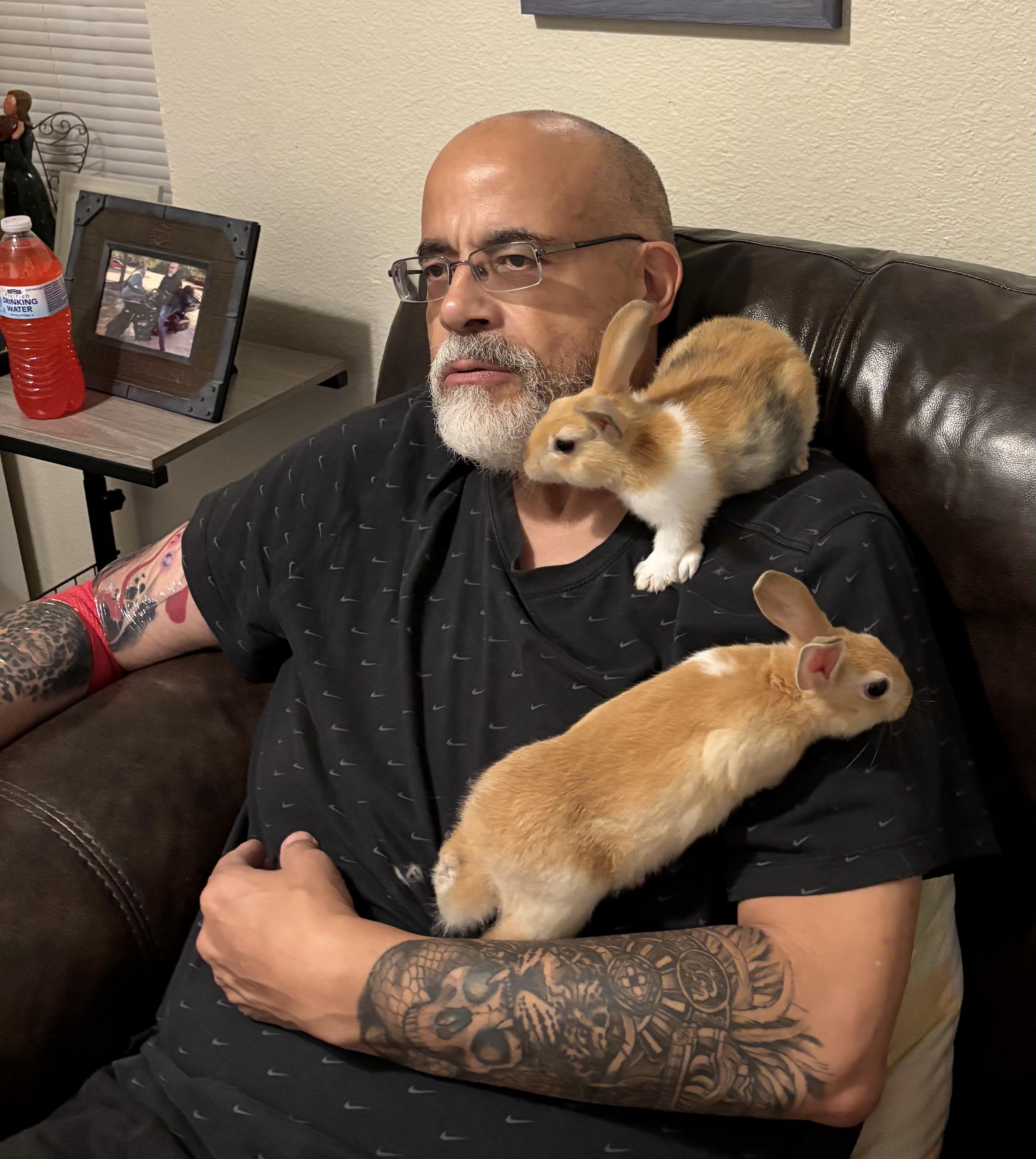 Sonny & Stormy ( spayed/neutered bonded pair), ADOPTABLE, Young Male Dutch & American Sable.