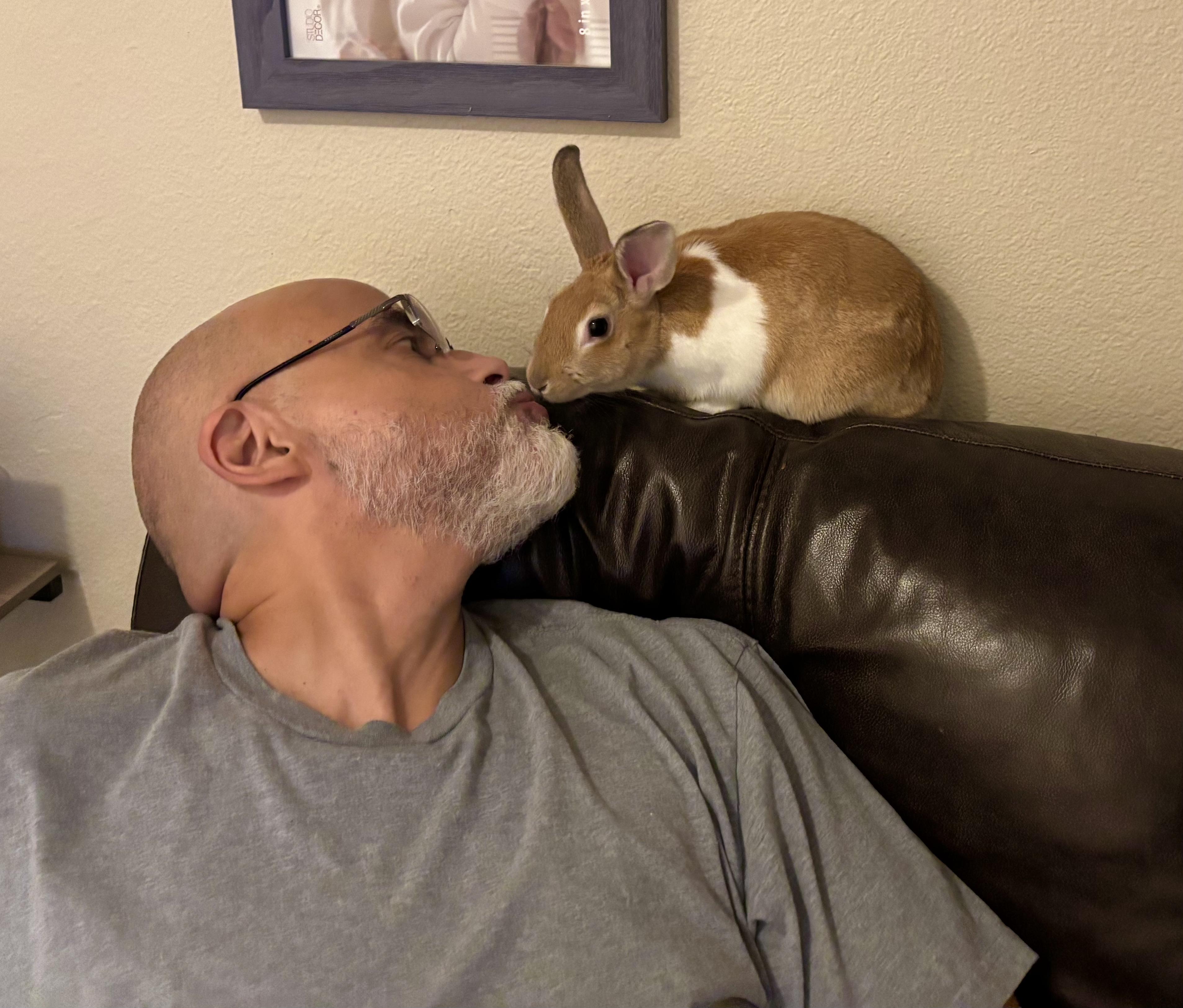 Enlarge Sonny & Stormy ( spayed/neutered bonded pair), an adoption pending mixed breed in San Antonio, TX image 5/6