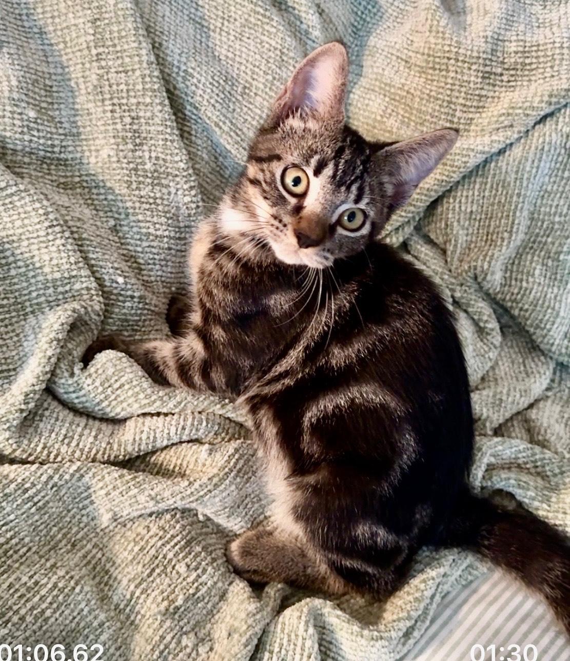 Benson & Boone - BONDED