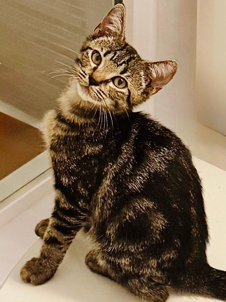 Benson & Boone - BONDED