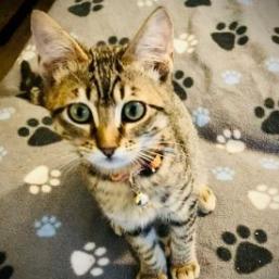 Xander — thumbnail 2