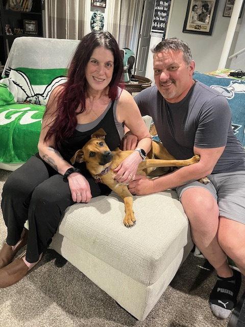 Enlarge Amy, a Adopted Mountain Cur in Blackwood, NJ image 2/3