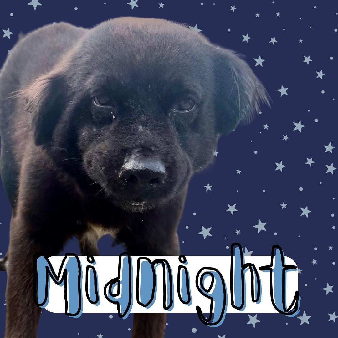 Midnight