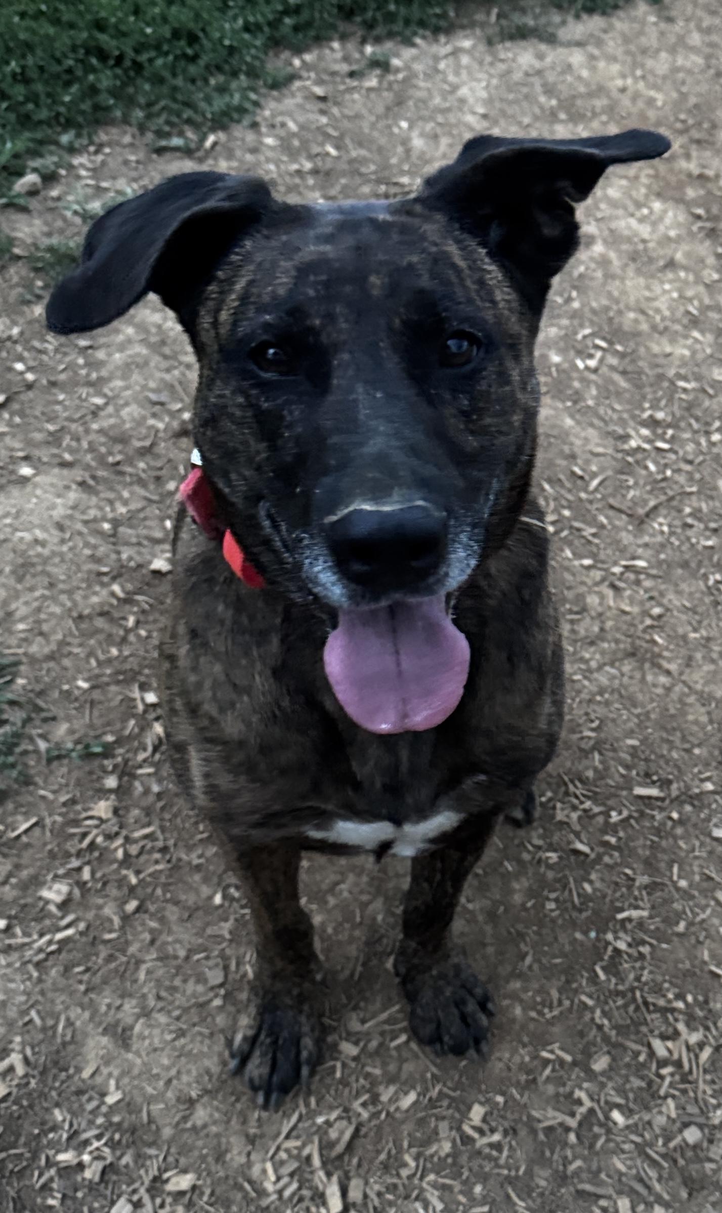 Bonnie photo 4