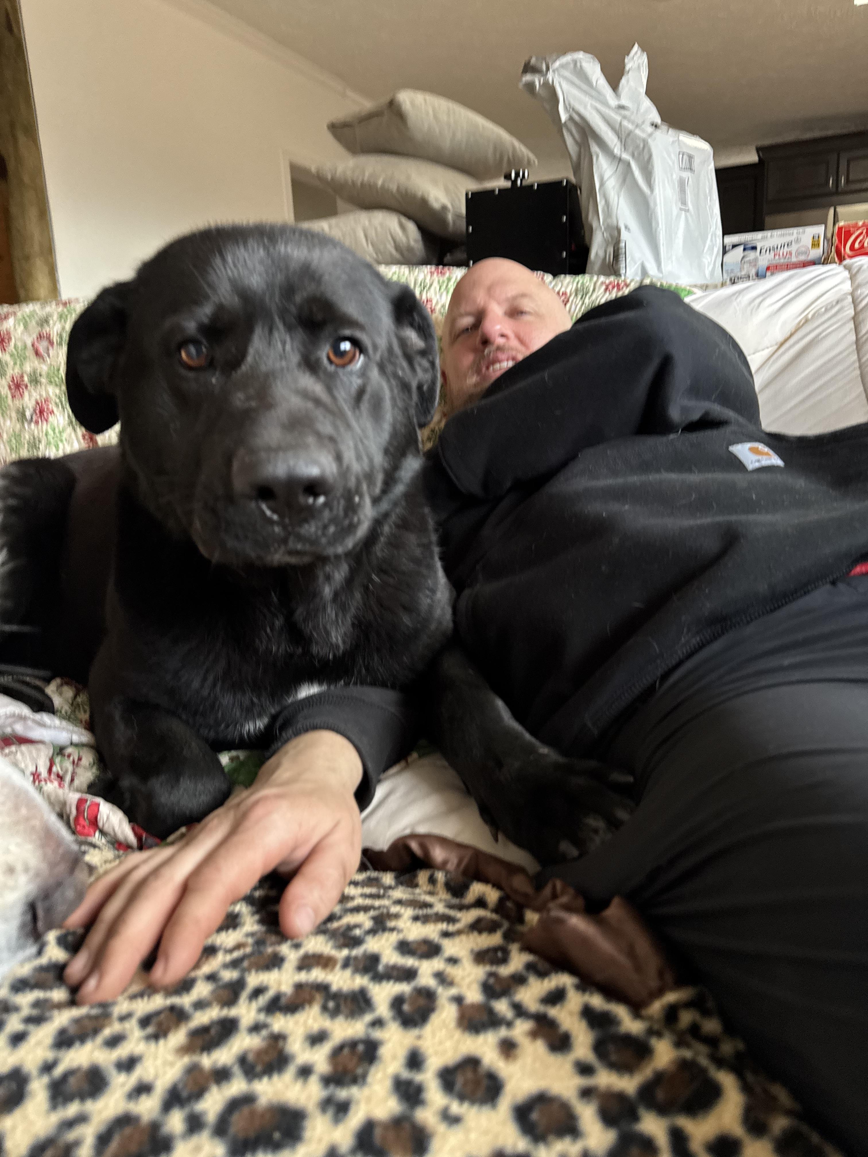 Sarge