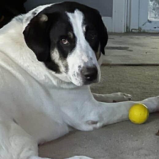 PENNSYLVANIA, PITTSBURGH; 