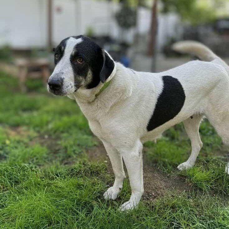 PENNSYLVANIA, PITTSBURGH; 