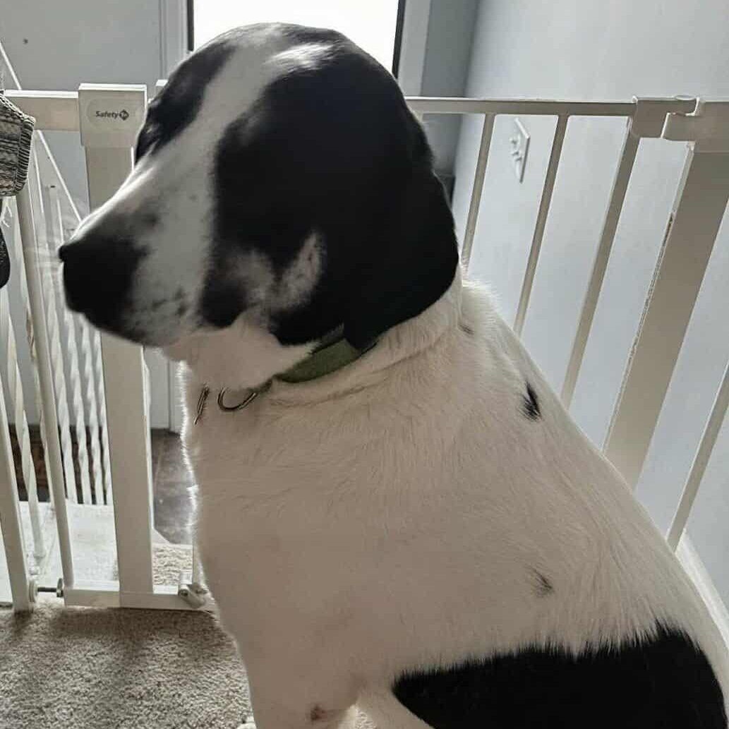 PENNSYLVANIA, PITTSBURGH; 