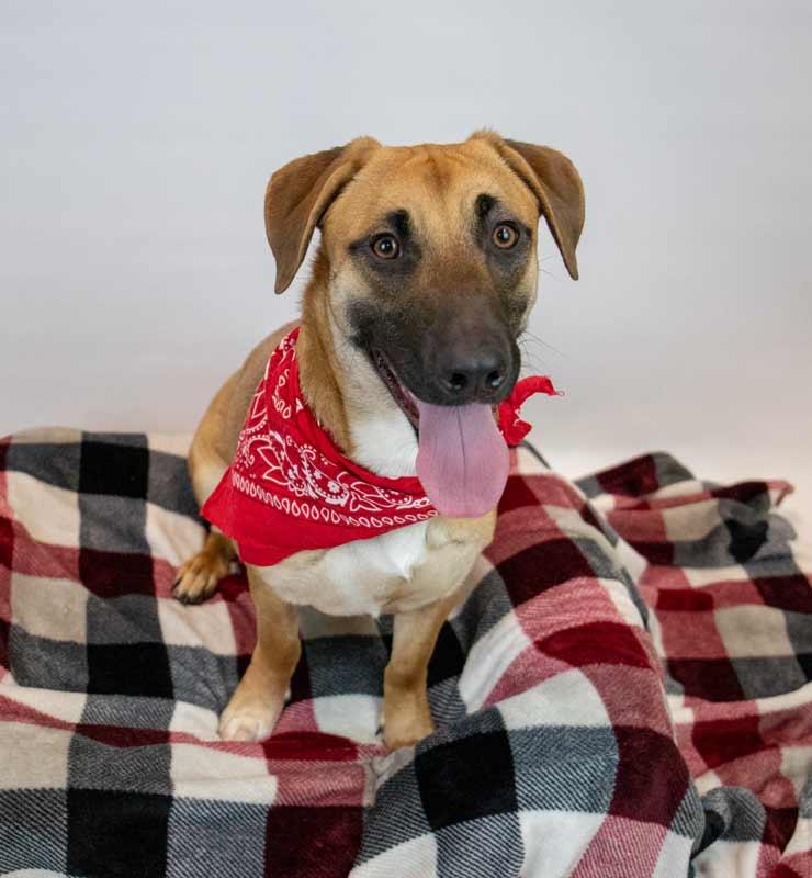 Smoochie thumbnail 2