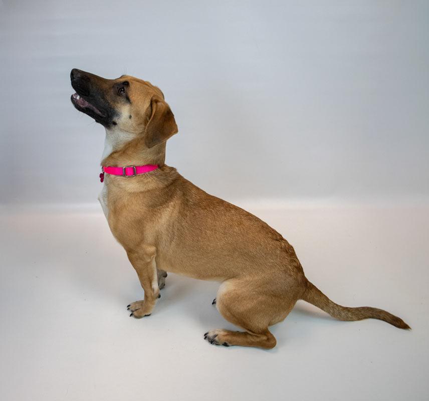 Smoochie thumbnail 3