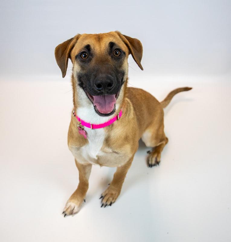 Smoochie thumbnail 4