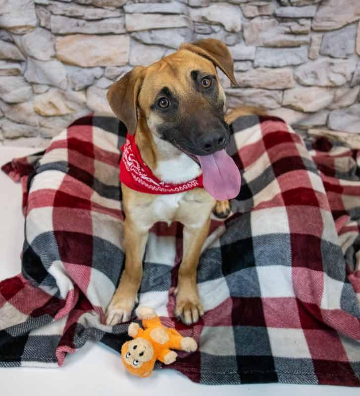 Smoochie thumbnail 5