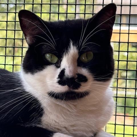 Momma Toast — thumbnail 2