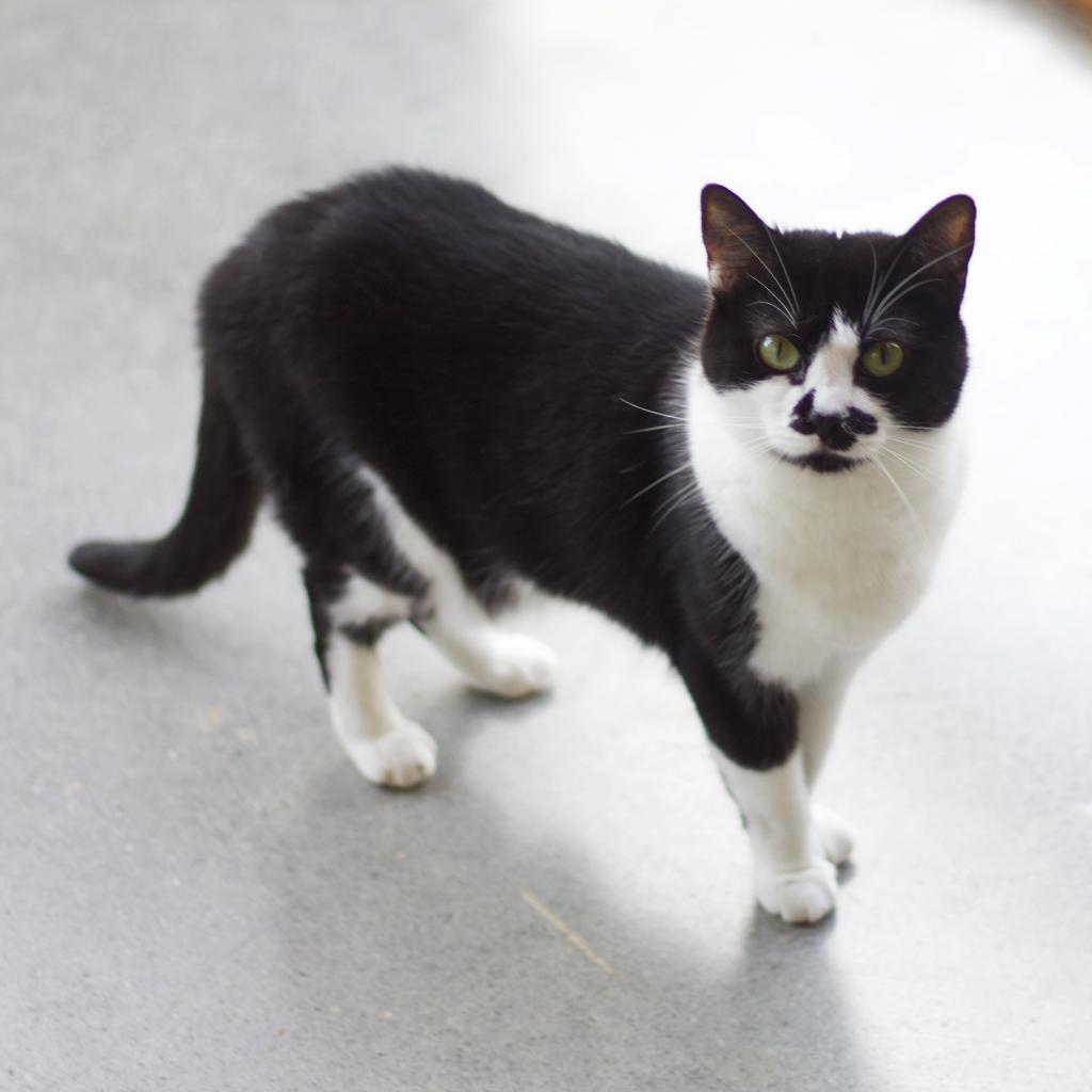 Momma Toast — thumbnail 5