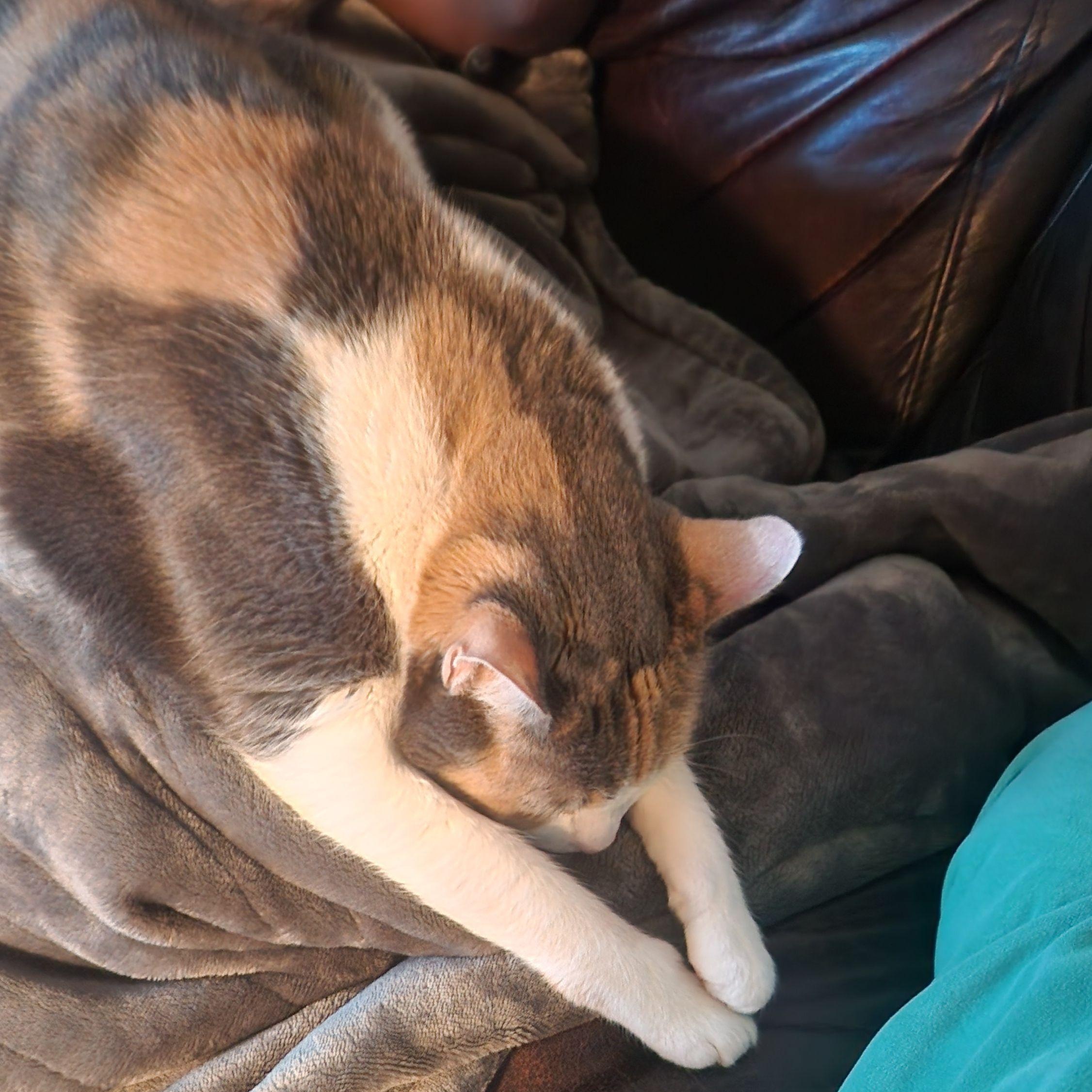 Rayla *COURTESY POST*