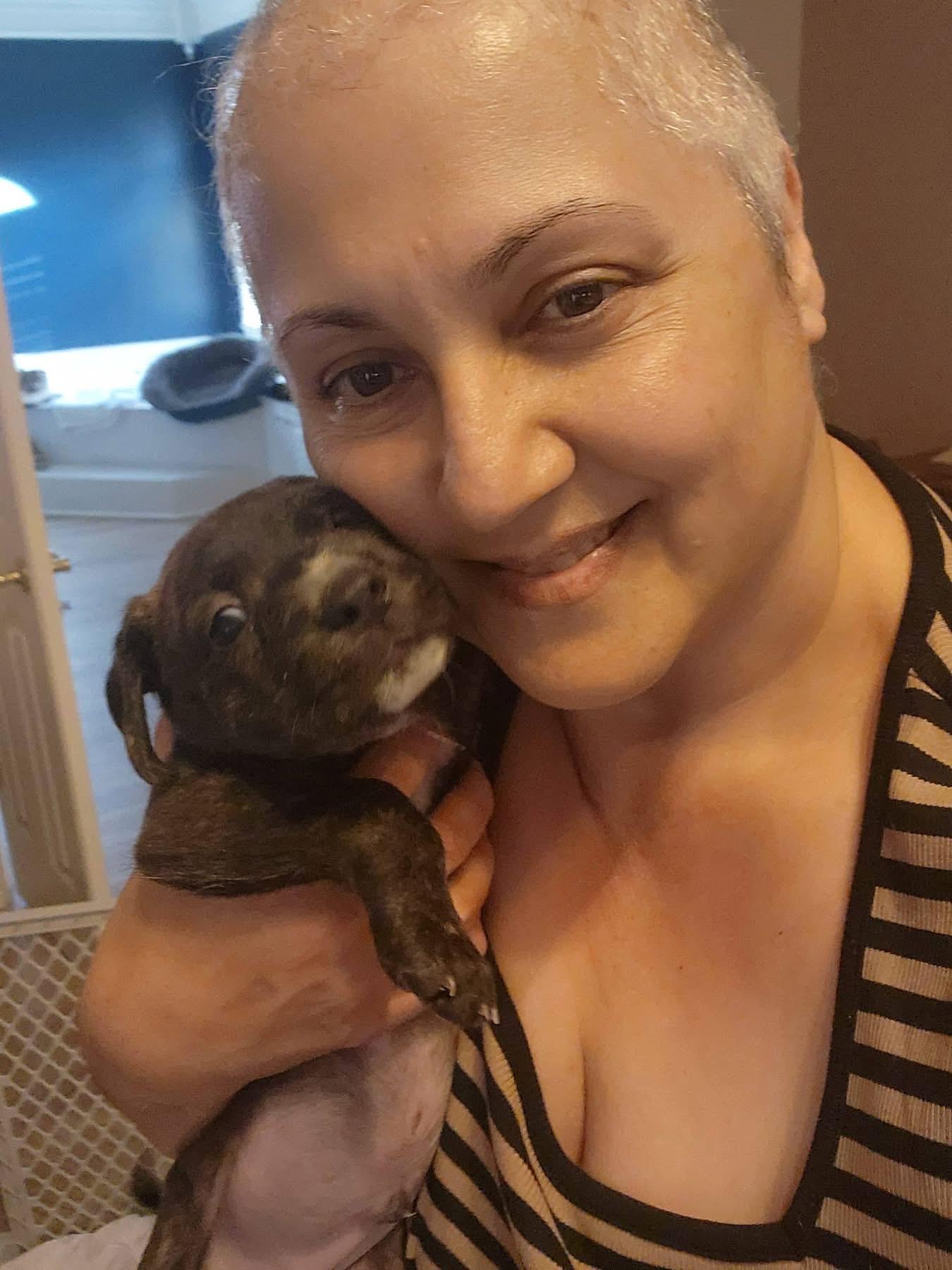 Enlarge Hank - (Hazel pup) , an adopted mixed breed in Mount Juliet, TN image 2/3