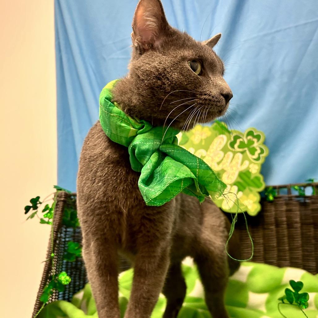 Cillian — thumbnail 2