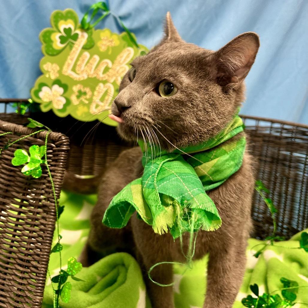 Cillian — thumbnail 3