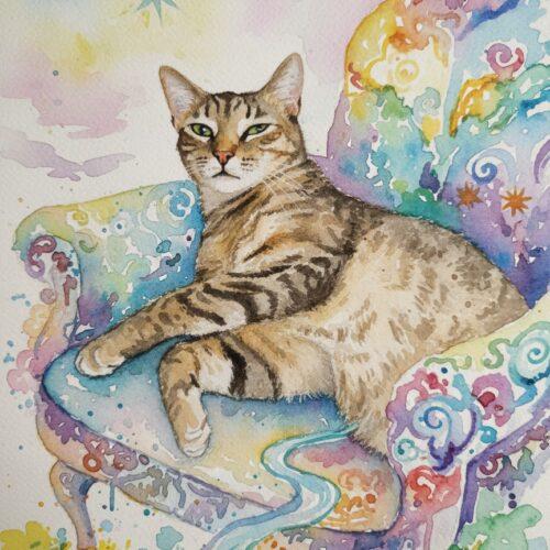Jill, Adoptable, Kitten Female Domestic Short Hair.