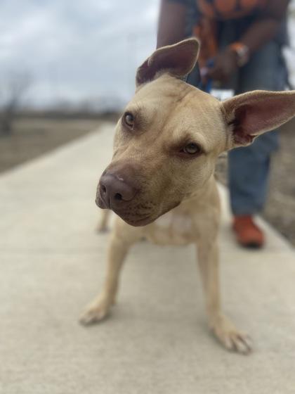 Tinkerbell — thumbnail 3