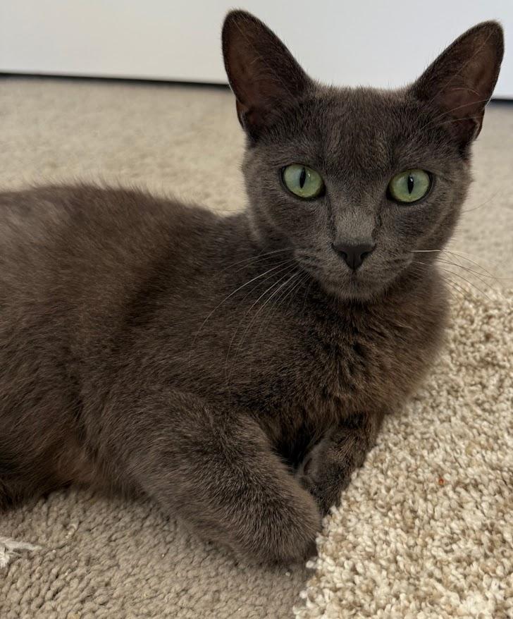 Nala