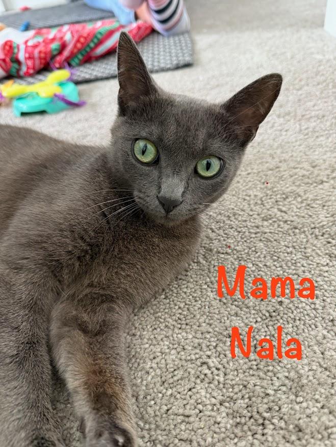 Nala