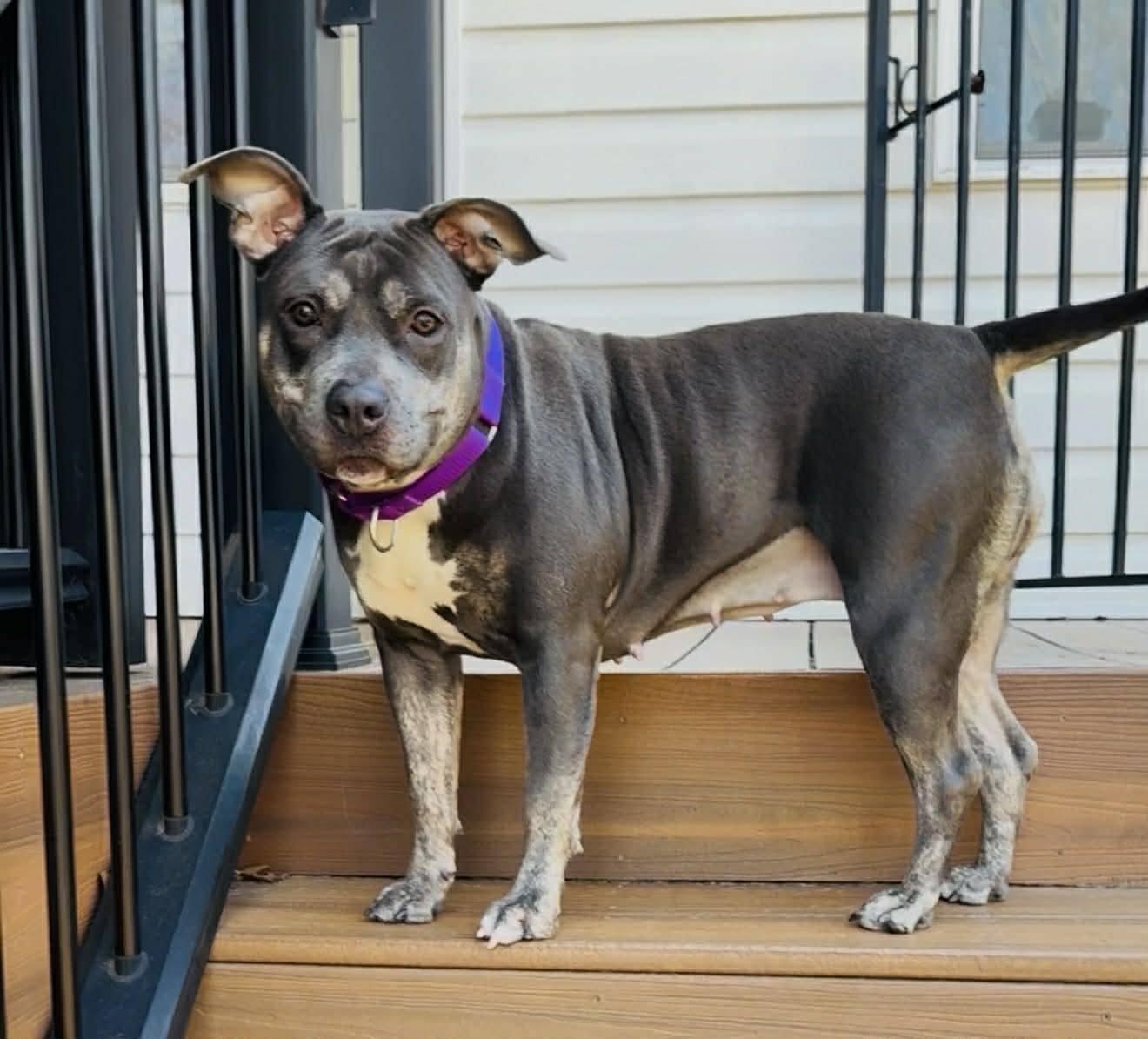 Diamond (20260301-06)