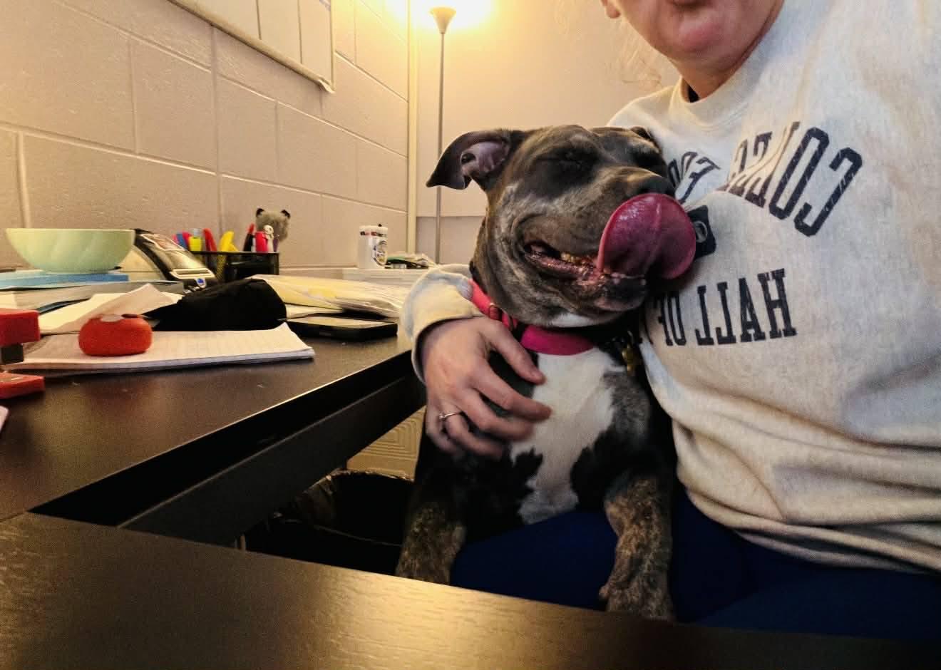 Diamond (20260301-06) — thumbnail 2