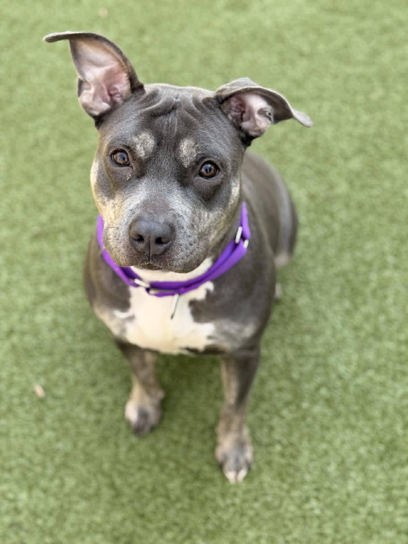 Diamond (20260301-06) — thumbnail 3