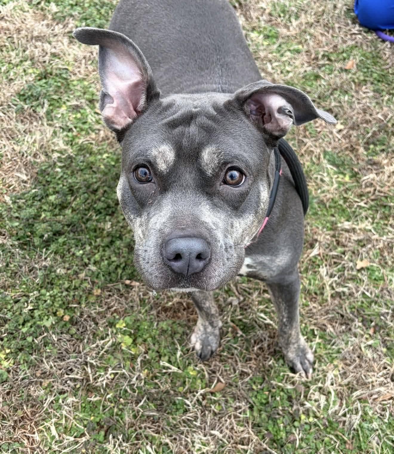 Diamond (20260301-06) — thumbnail 4