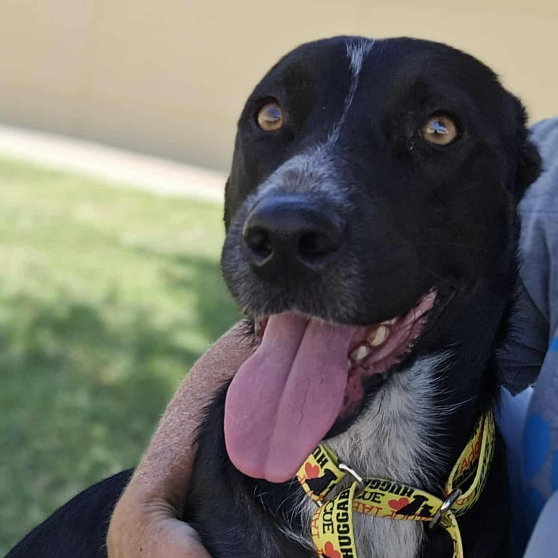 Tatiana — thumbnail 2