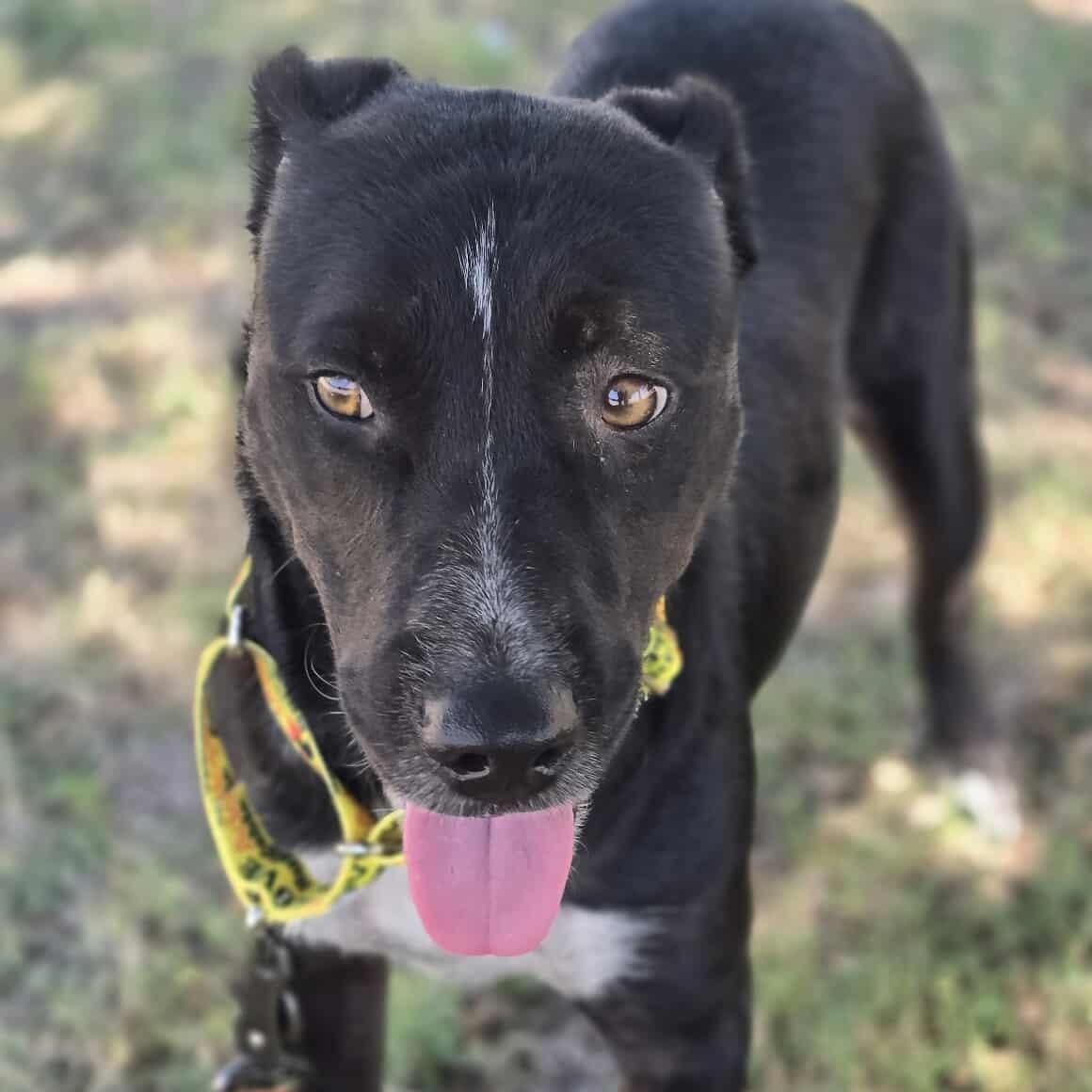 Tatiana — thumbnail 5