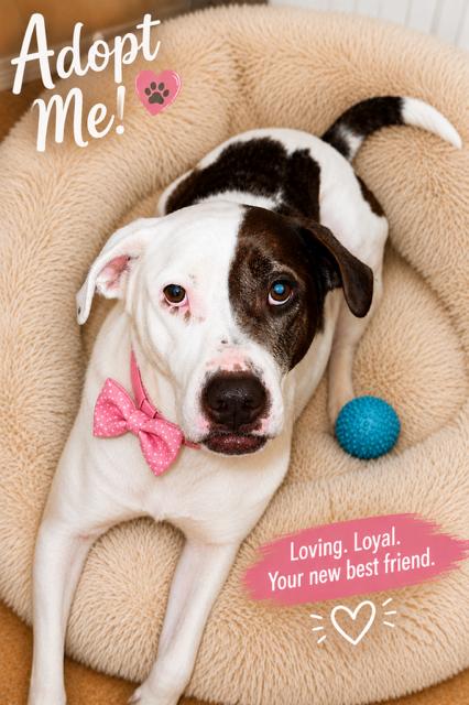 Stella Mae, a Adoptable mixed breed in Cypress, TX image 1/6