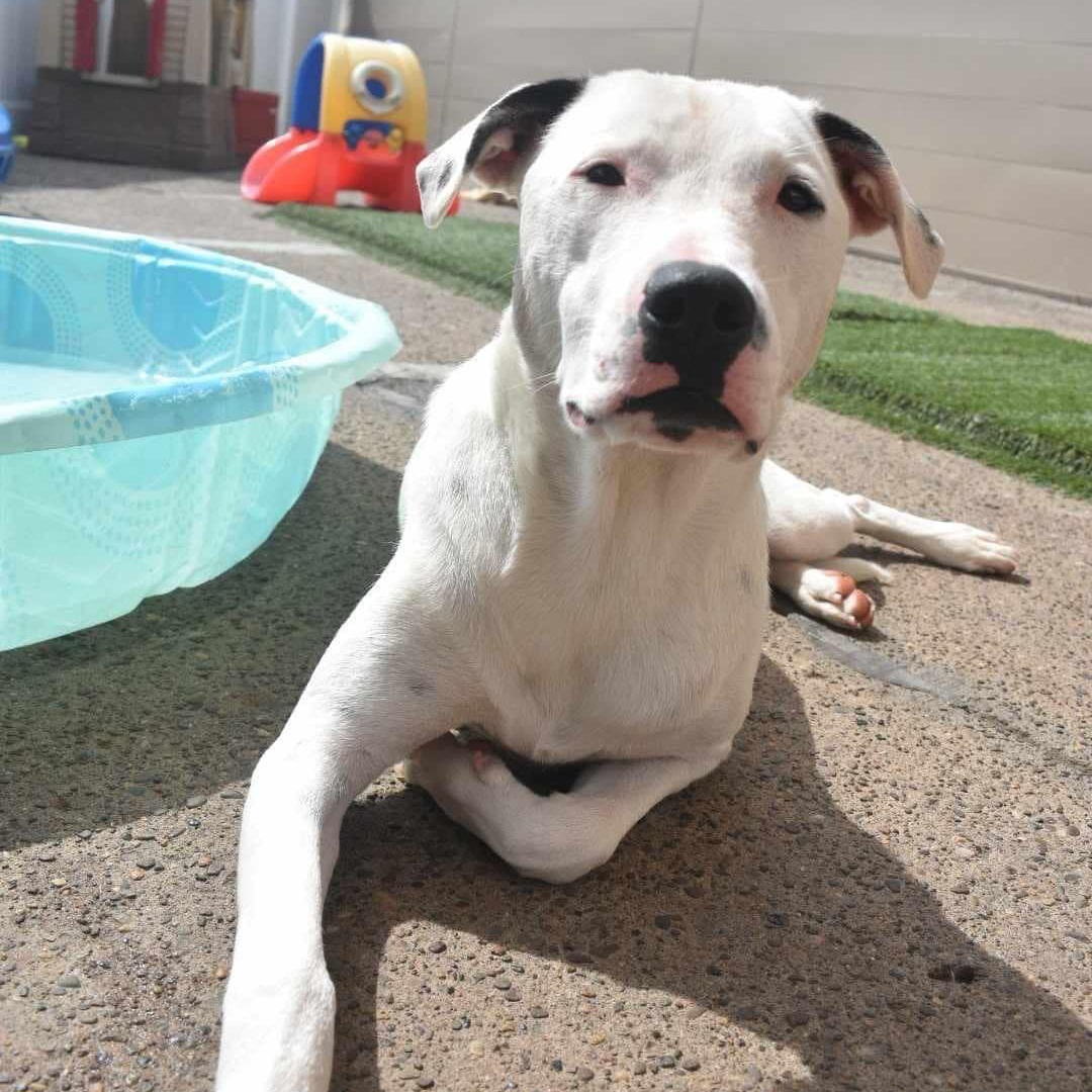 Mia