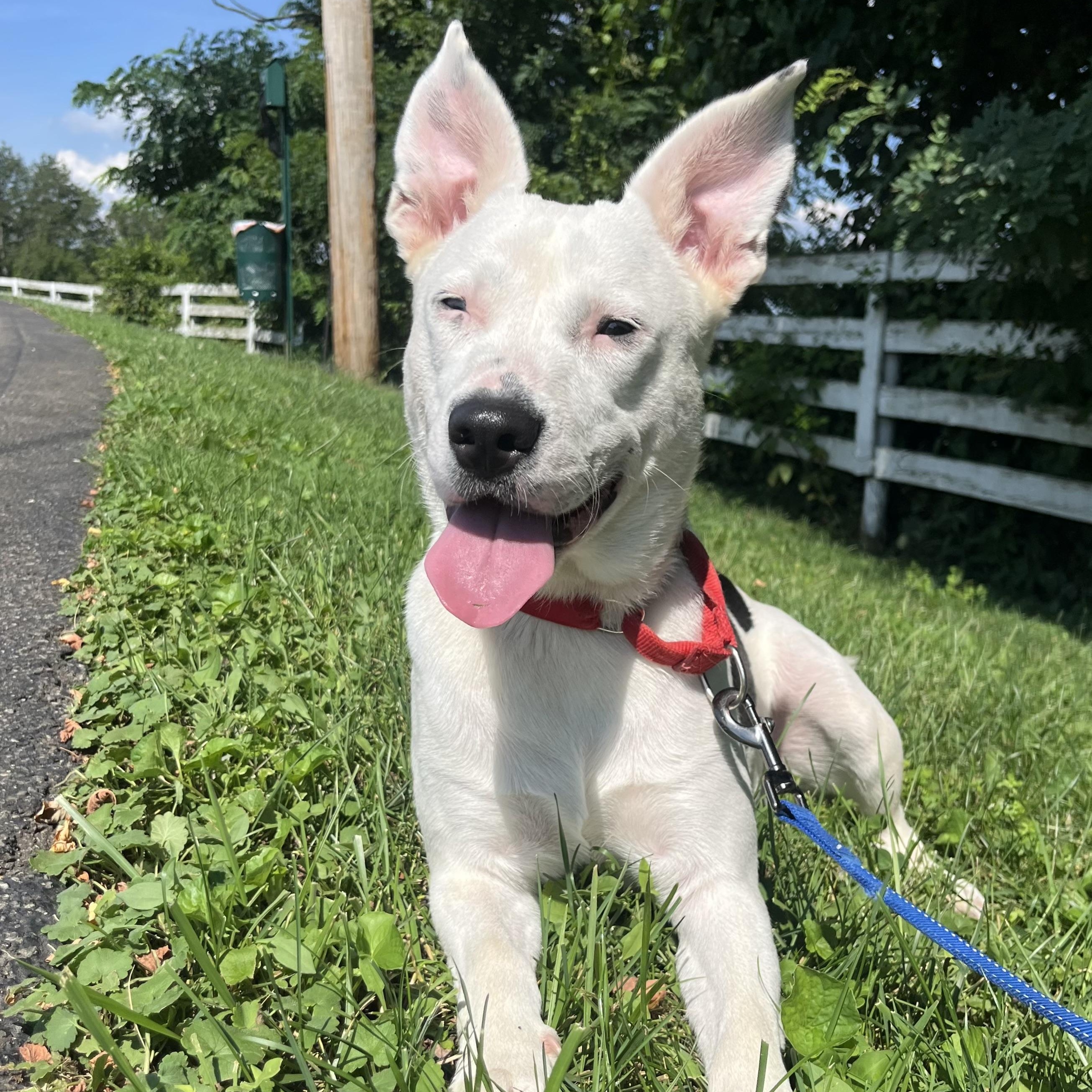 Petey
