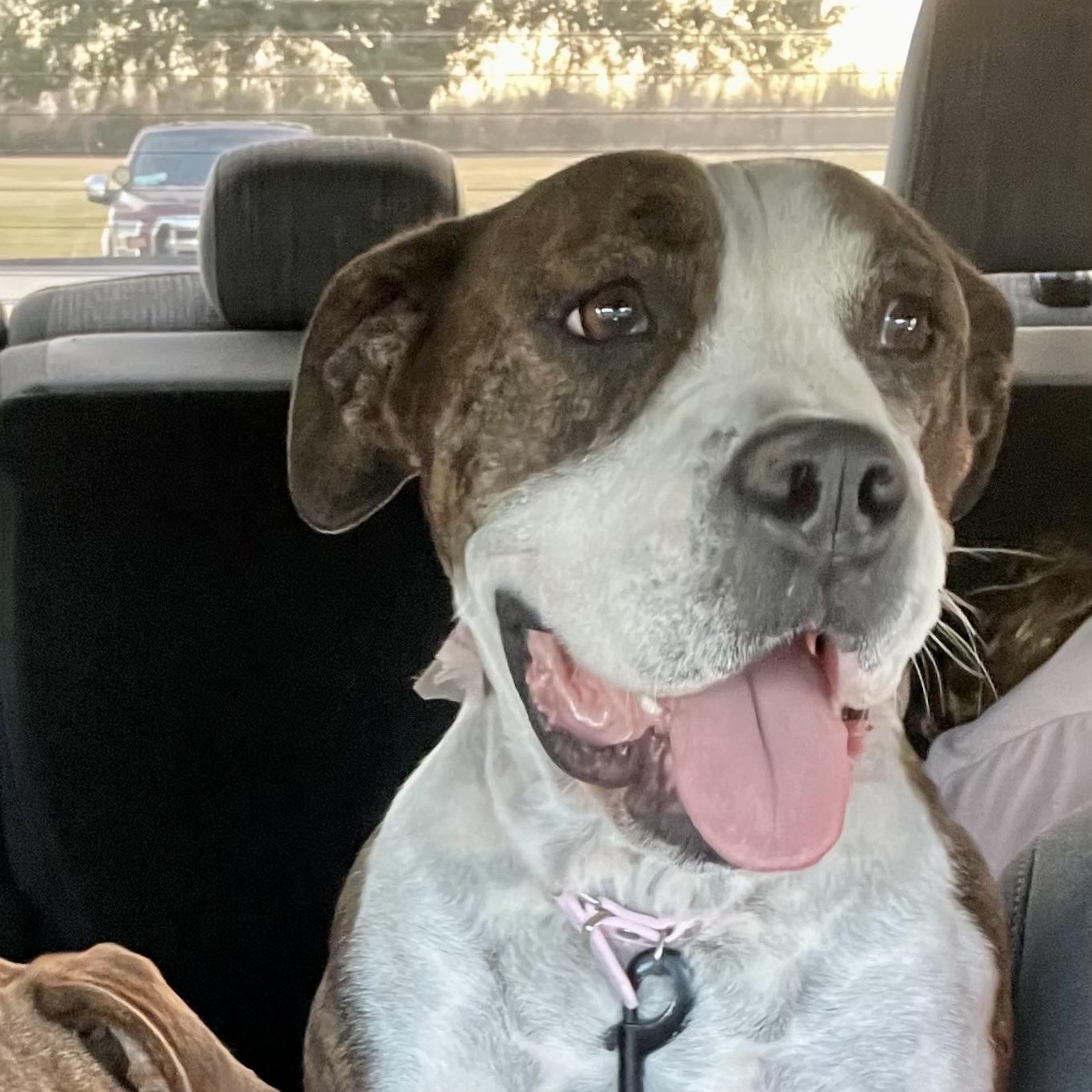 Maggie Mae — thumbnail 4