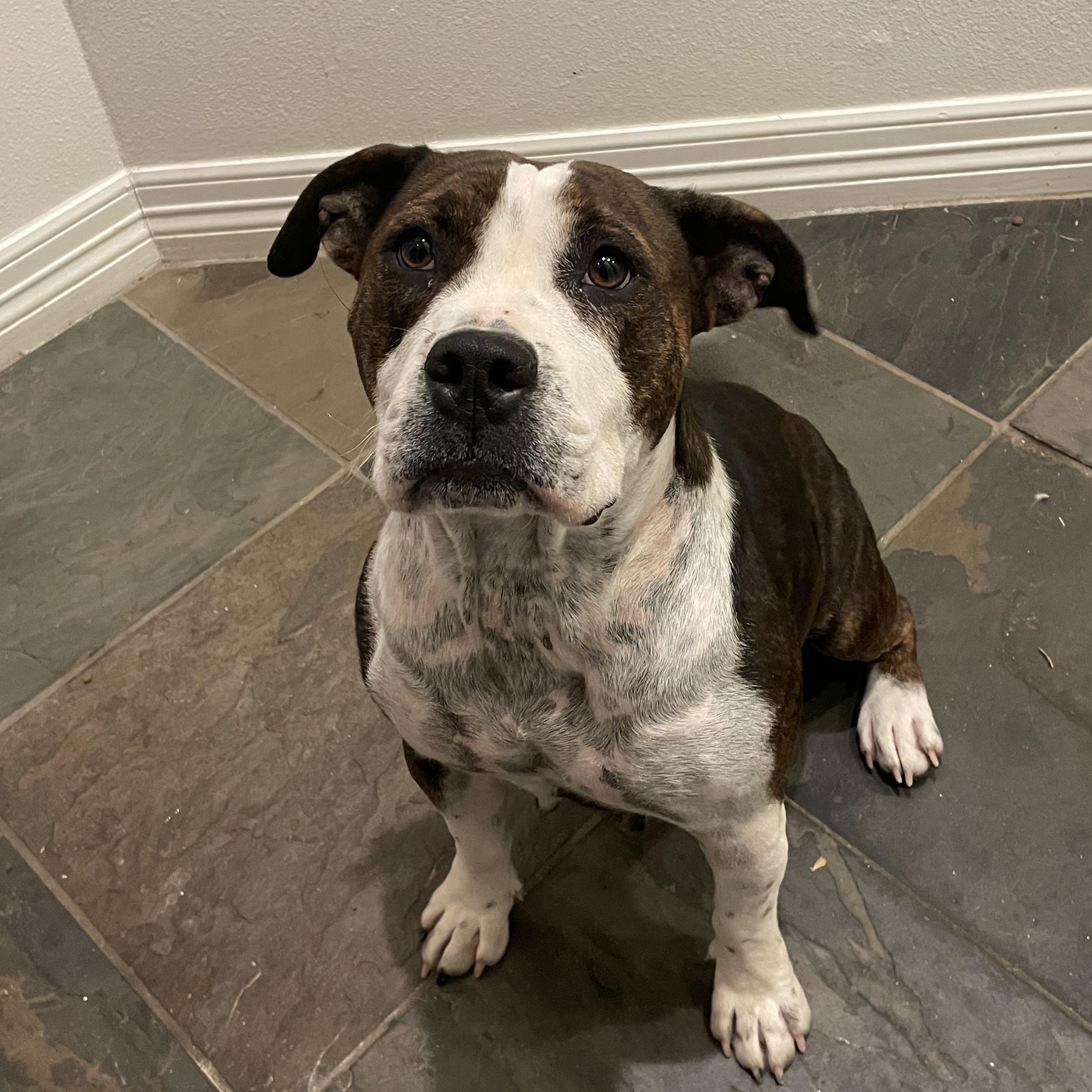 Maggie Mae — thumbnail 5