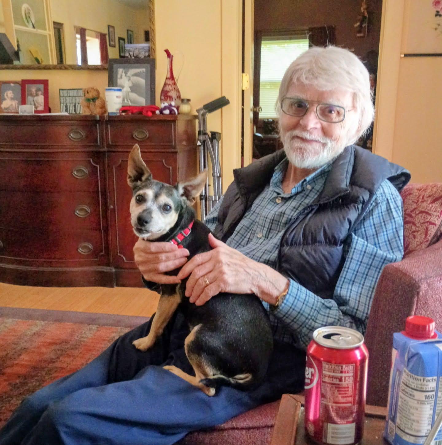 Enlarge Dannie, a Adoptable mixed breed in Maybrook, NY image 4/6