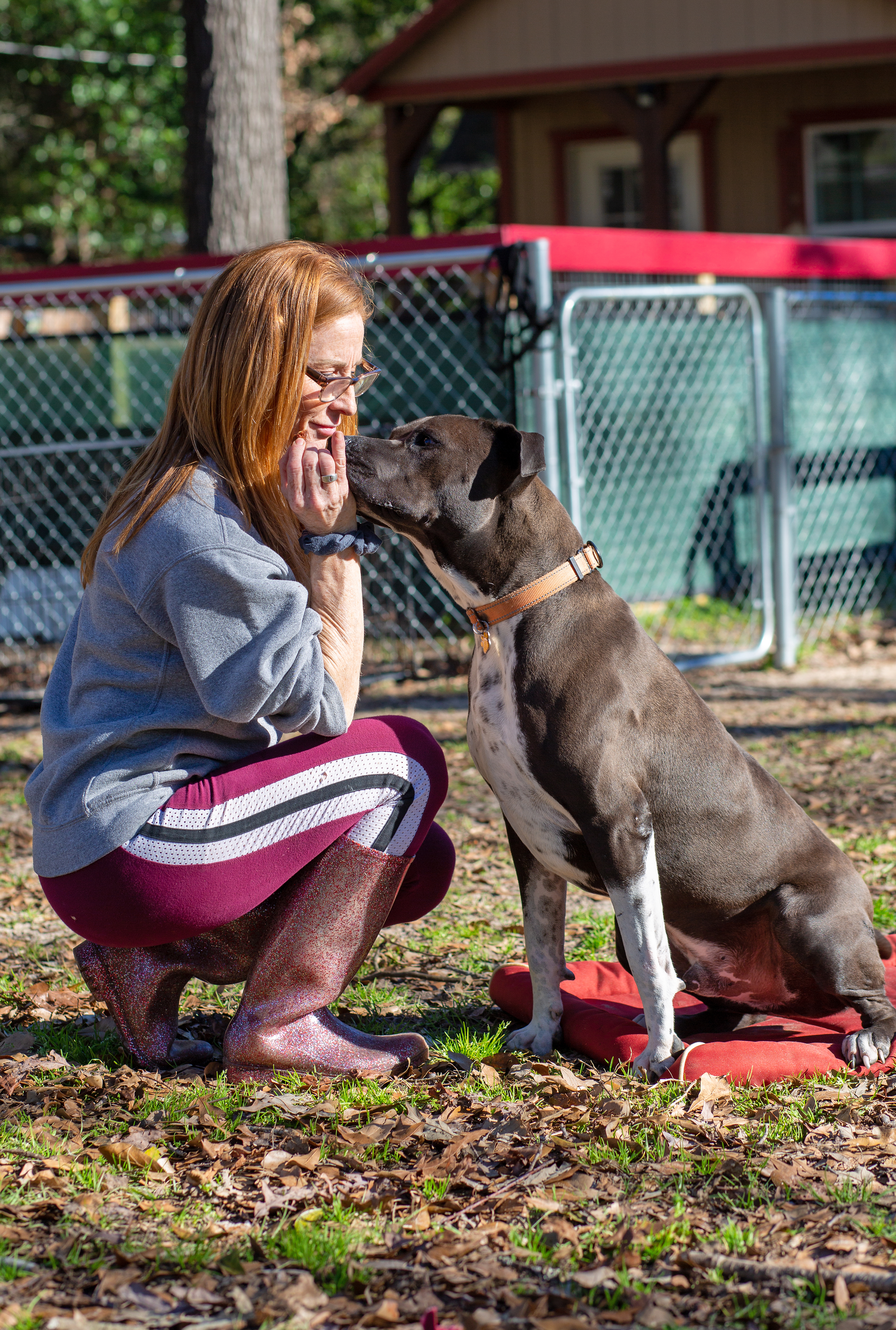 Mateo, a Adoptable mixed breed in Conroe, TX image 5/6