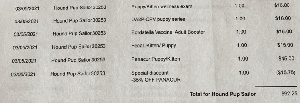 Enlarge Copper, a Adoptable mixed breed in West Bloomfield, MI image 6/6