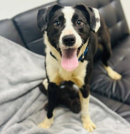 Faye Valentine — thumbnail 2