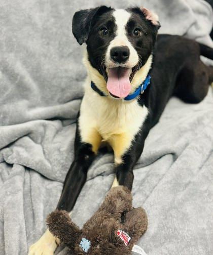 Faye Valentine — thumbnail 3