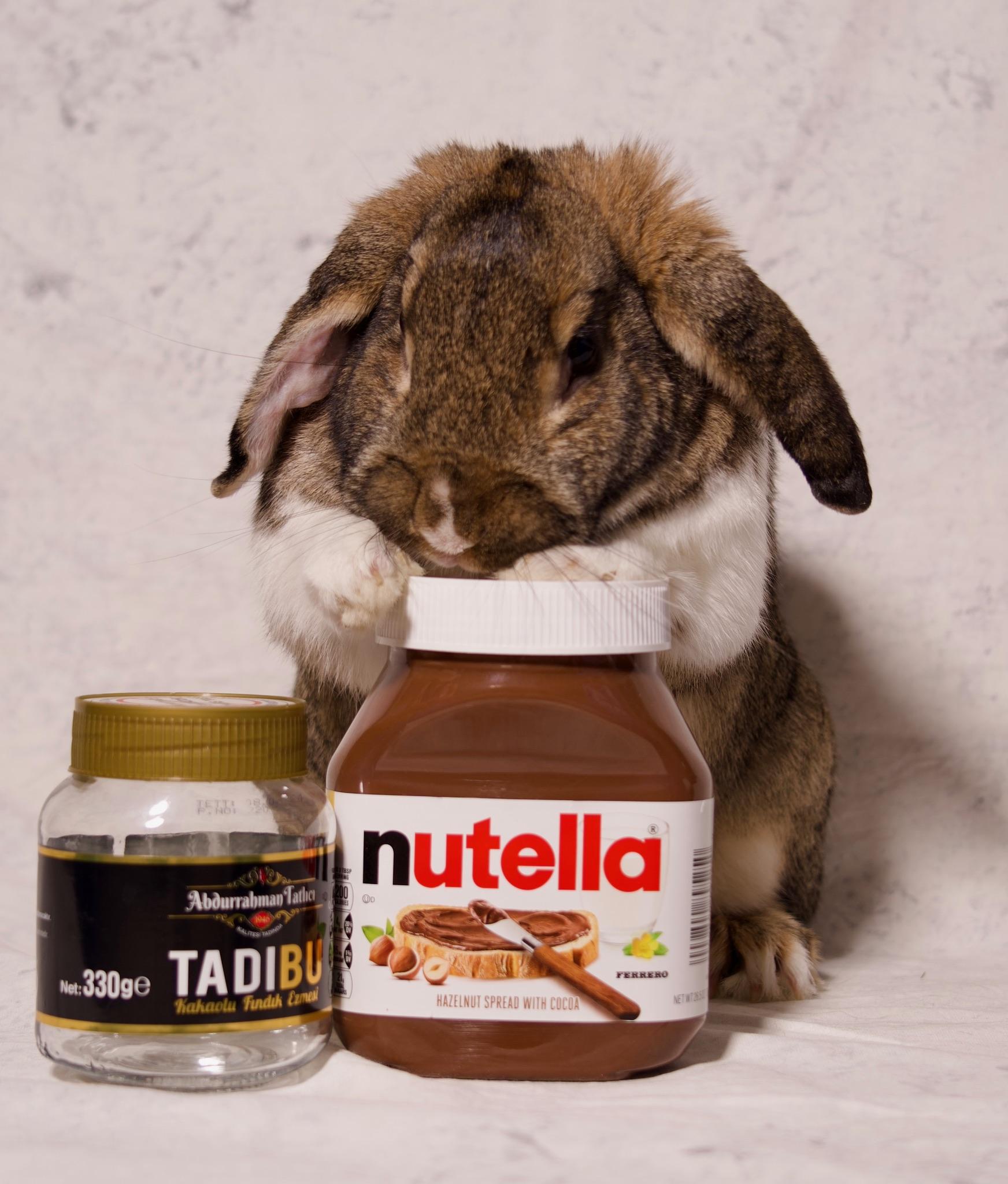 Nutella photo 3