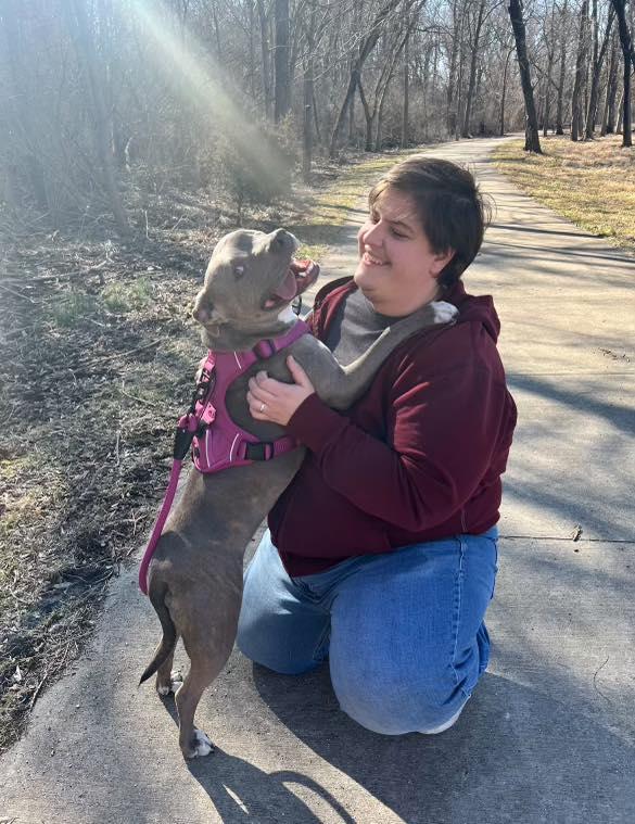 Enlarge Elsa, a Adoptable mixed breed in Terre Haute, IN image 4/6