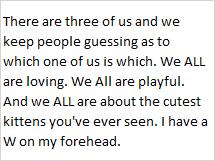 Leonard, an adoptable Domestic Short Hair in Libby, MT, 59923 | Photo Image 3